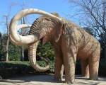 Eléphant du parc de la cité de Barcelone